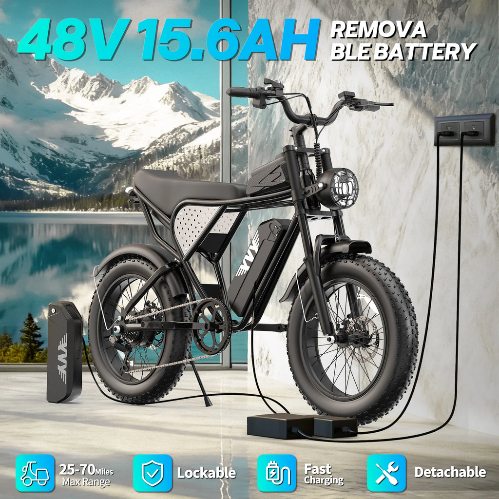 Electric Bike Adult